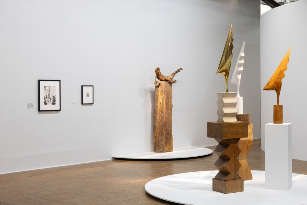 Photographe d'expo : prise de vue de la scénographie de l'exposition Brancusi au Centre Pompidou